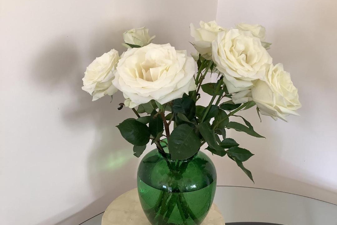 Photo of Others in Killarney Vale