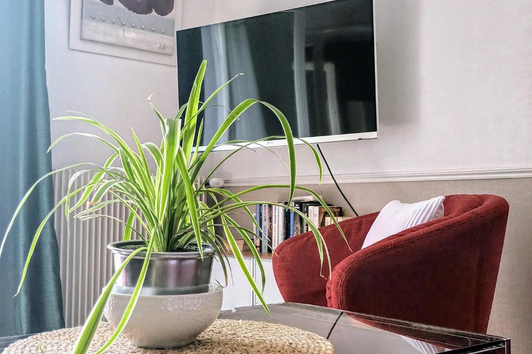 Photo of Others in Soumont-Saint-Quentin