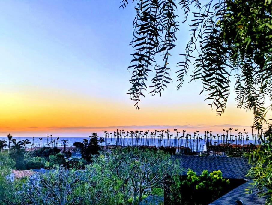 Photo of Others in La Jolla Shores