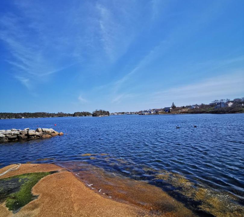 Photo of Others in Prospect Bay