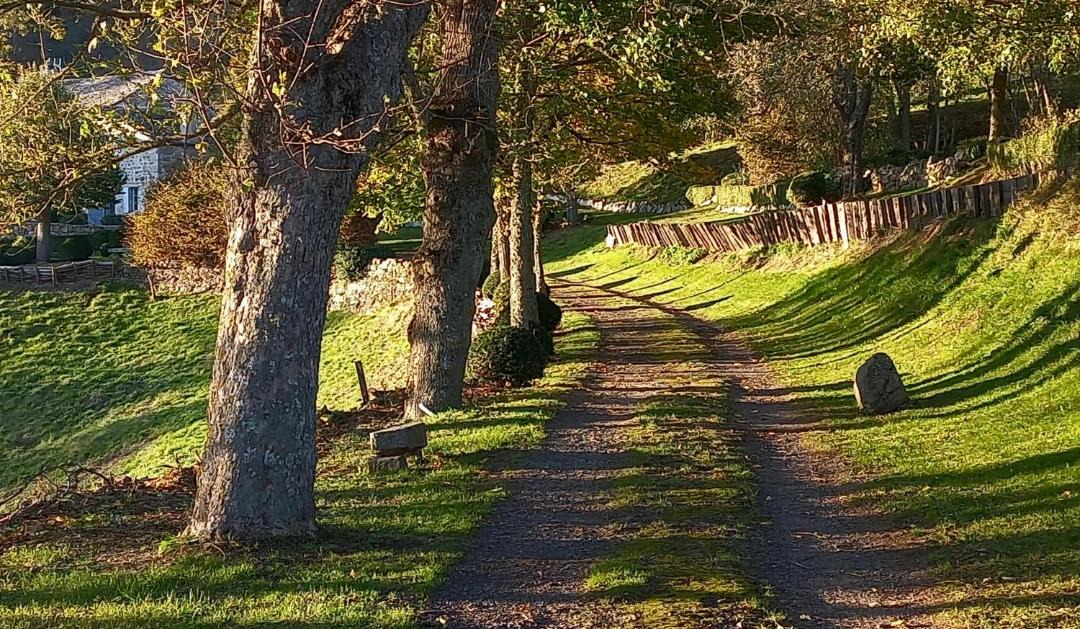 Photo of Others in Intres