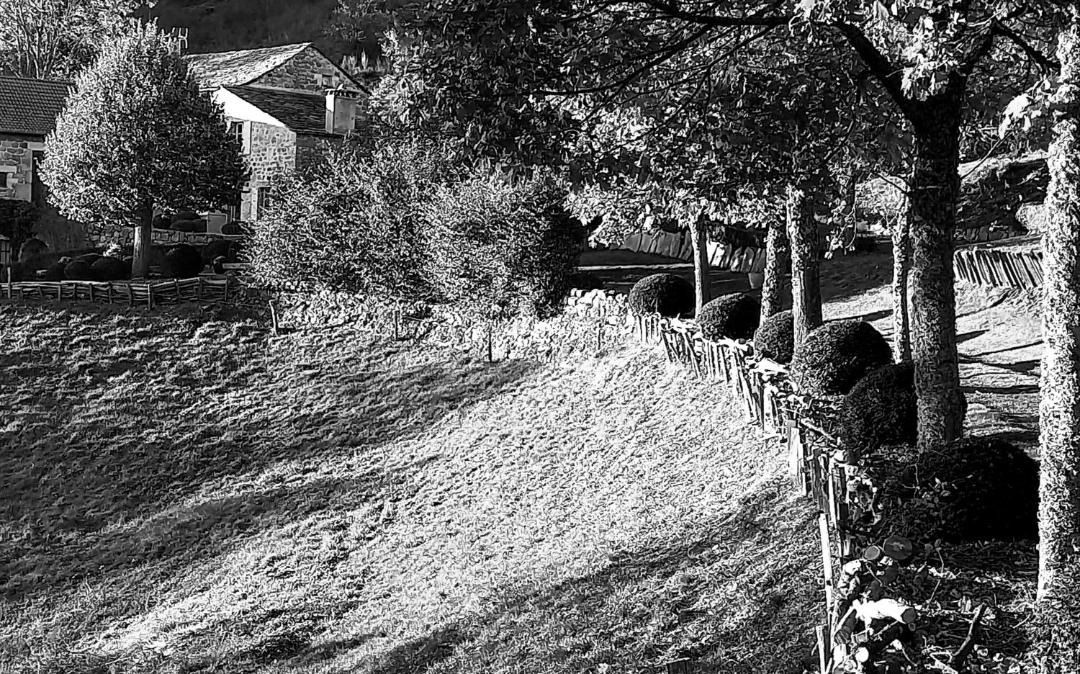 Photo of Others in Intres