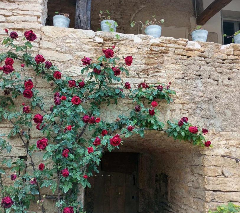 Photo of Others in Viserny