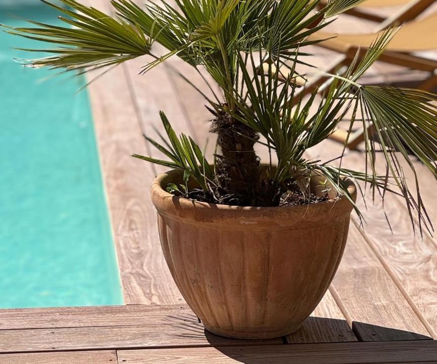 Photo of Others in Mirambeau