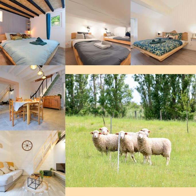 Photo of Others in Issel