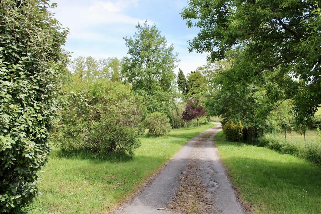 Photo of Others in Issel