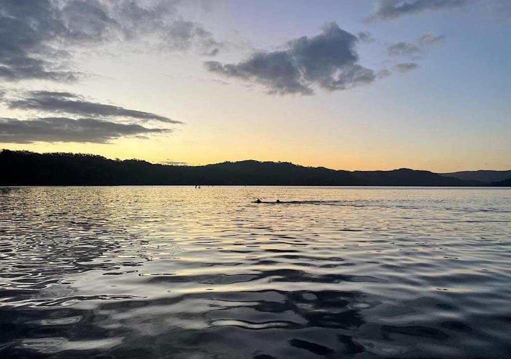 Photo of Others in Taylor Bay