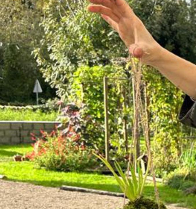 Photo of Others in La Brousse