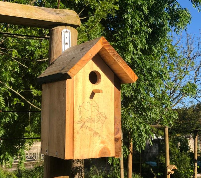 Photo of Others in La Brousse