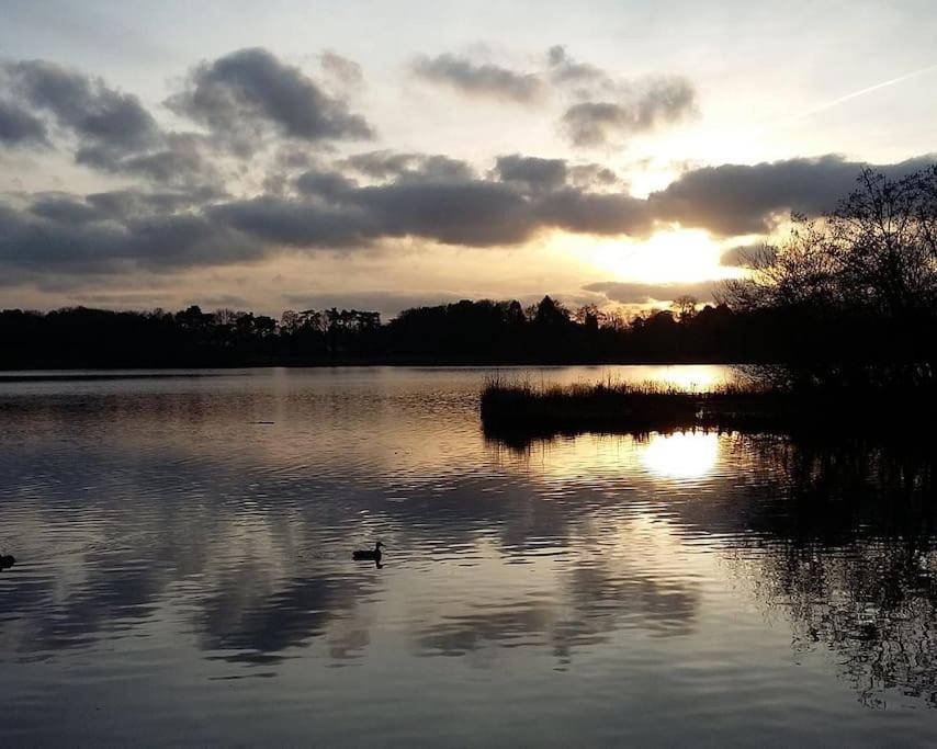 Photo of Others in Fleet