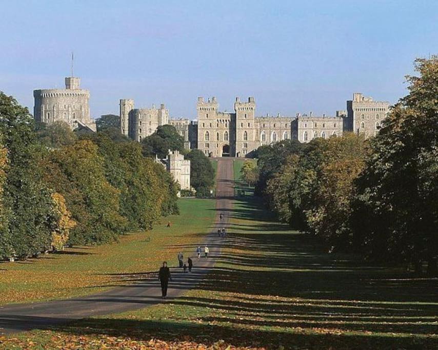 Photo of Others in Fleet