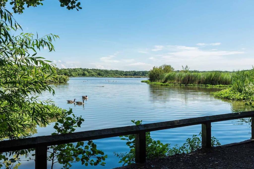 Photo of Others in Fleet