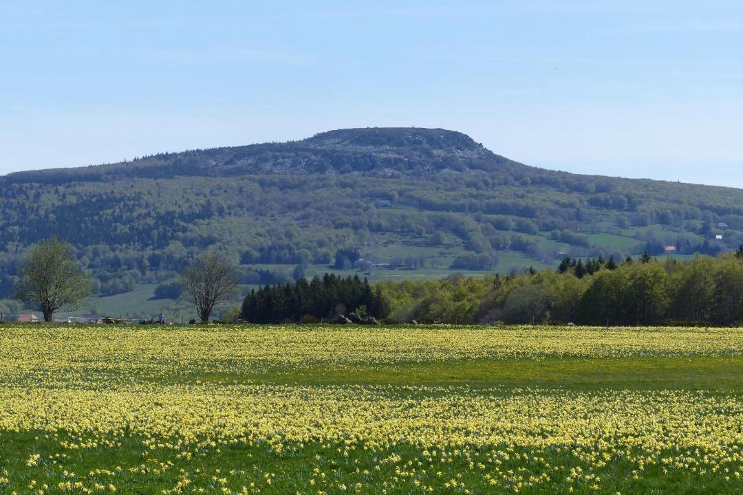 Photo of Others in Chambonas