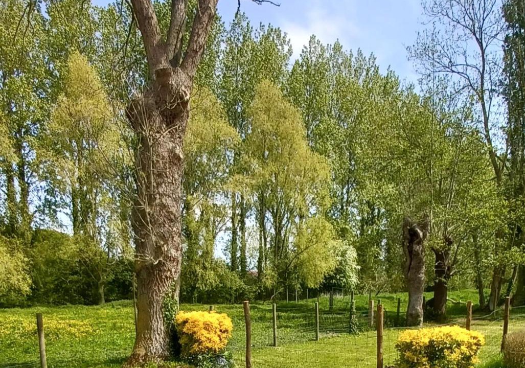 Photo of Others in Wittes