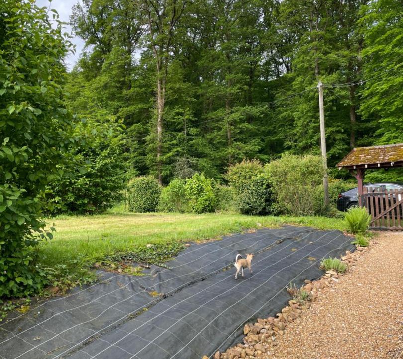 Photo of Others in Aillieres-Beauvoir