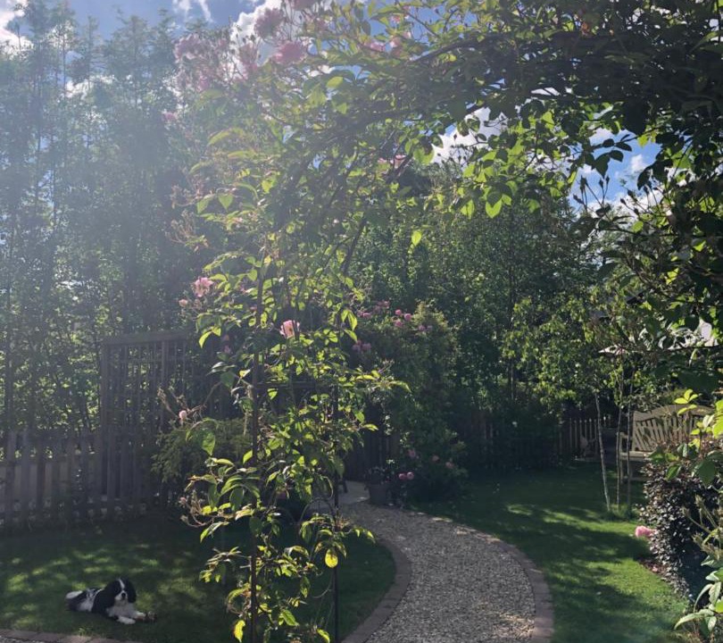 Photo of Others in Chablis