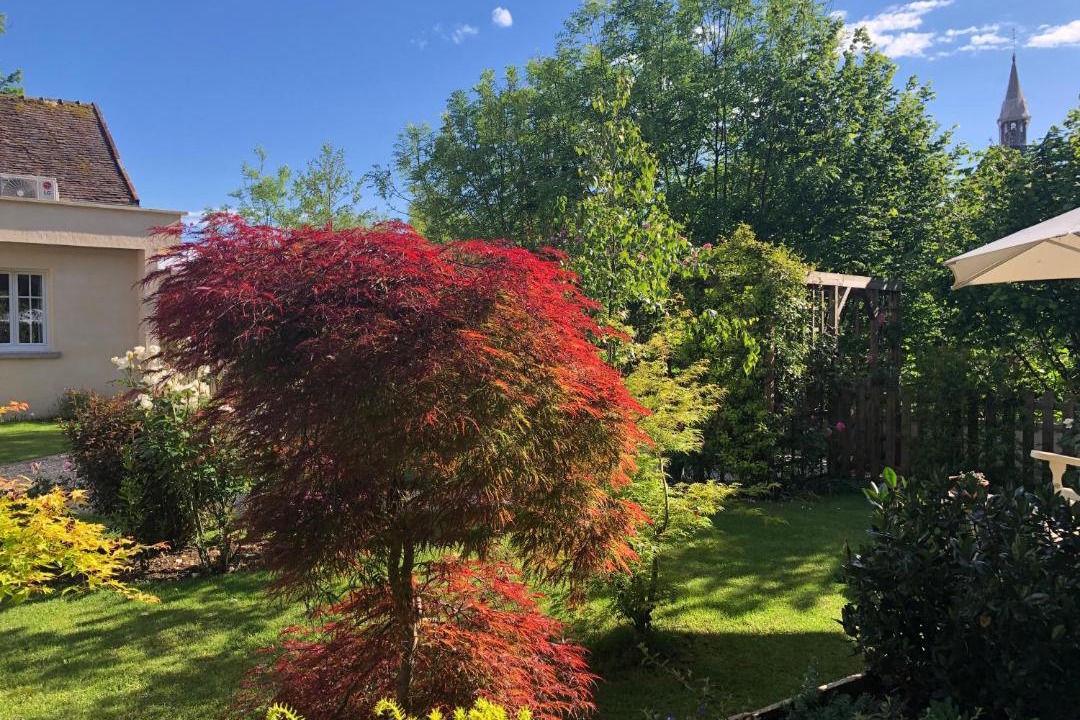 Photo of Others in Chablis