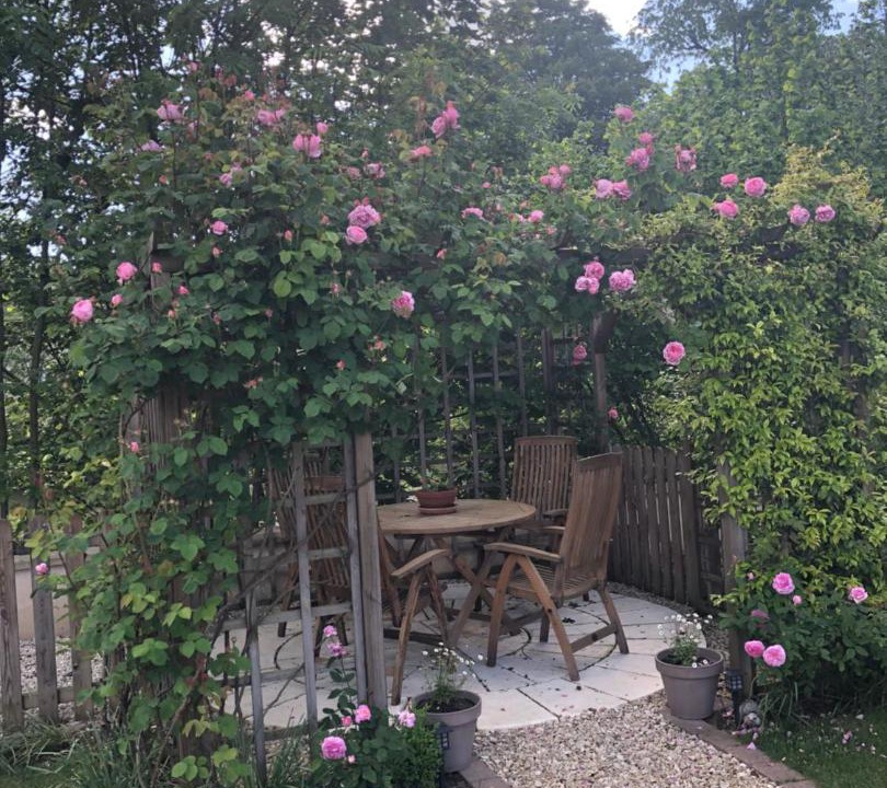 Photo of Others in Chablis