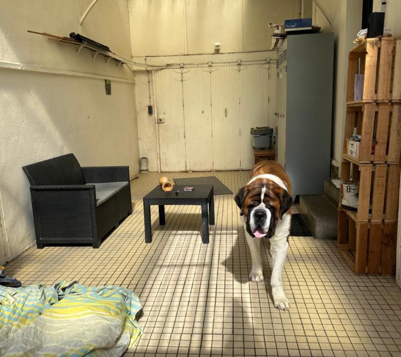 Photo of Others in Flers