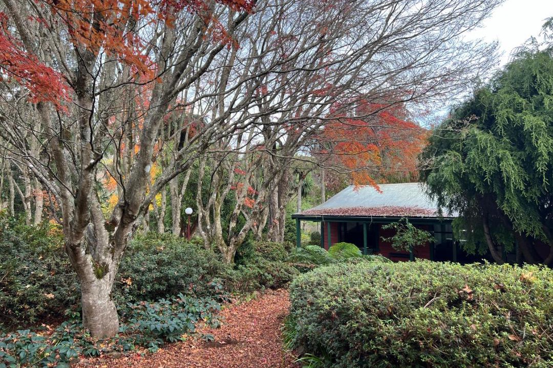 Photo of Others in Mount Wilson