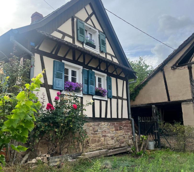 Photo of Others in Morsbronn-les-Bains