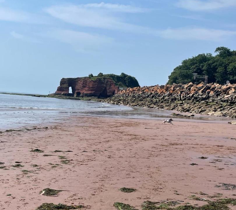 Photo of Others in Dawlish Warren