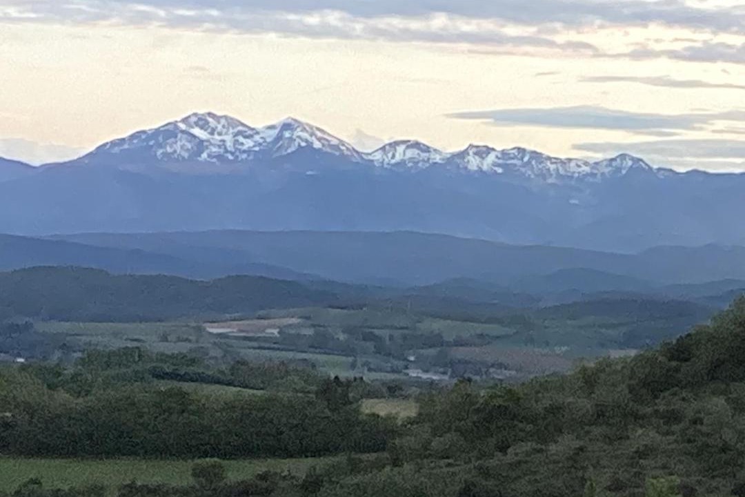 Photo of Others in Mirepoix