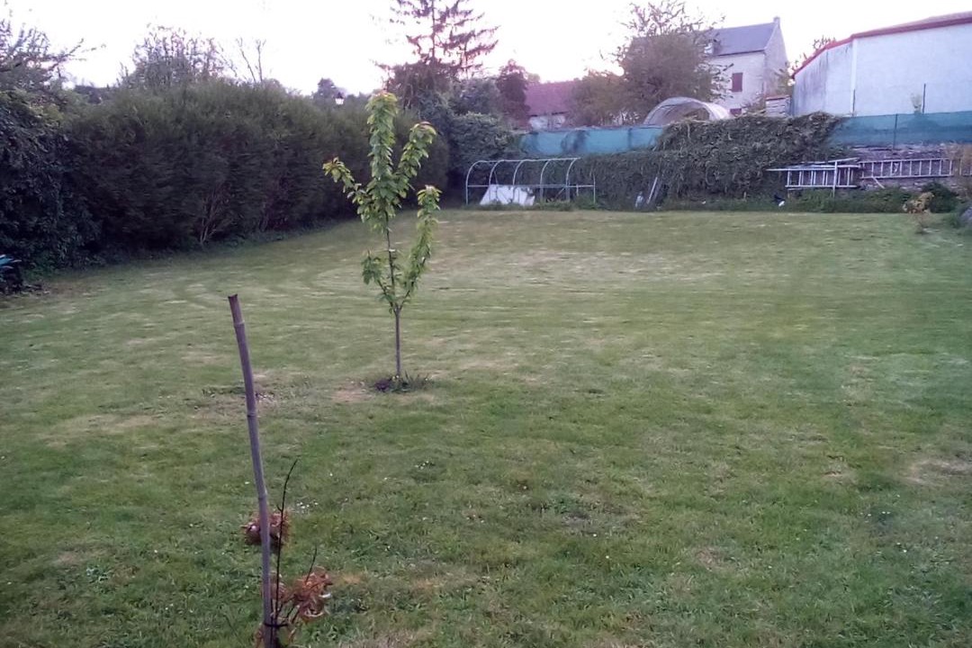 Photo of Others in Pevy