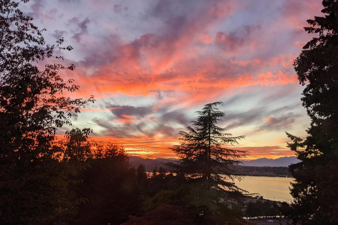 Photo of Others in Retsil