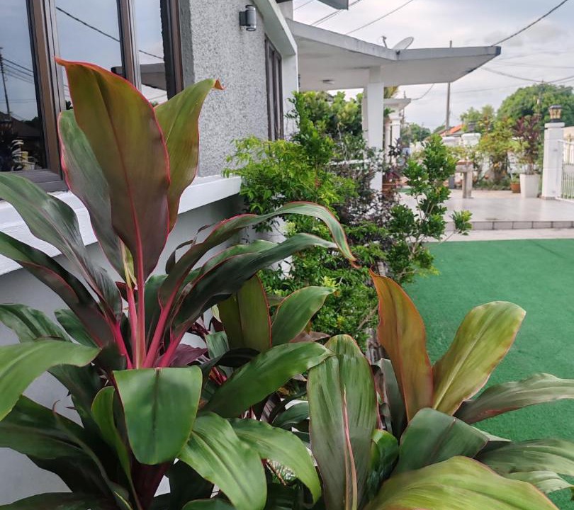 Photo of Others in Klebang Besar