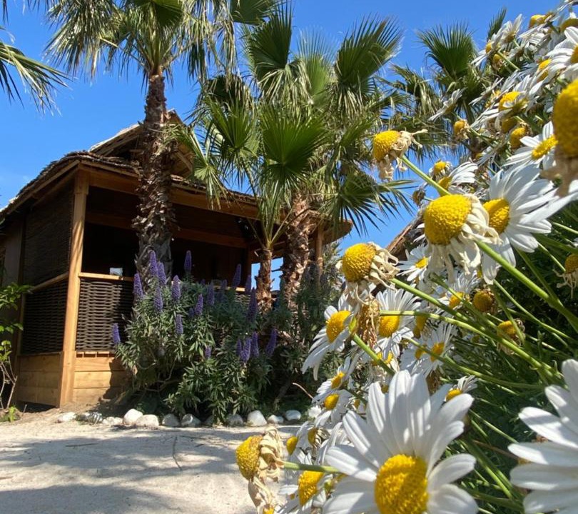 Photo of Others in Ramatuelle