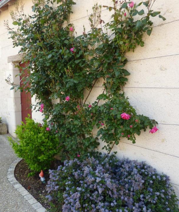 Photo of Others in Chisseaux