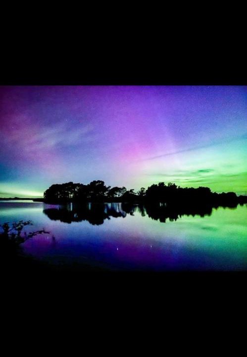 Photo of Others in New Forest District