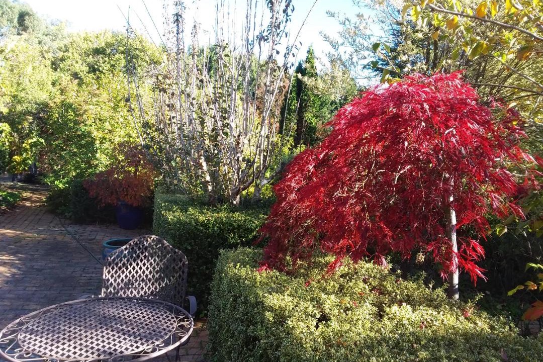 Photo of Others in Woodend North