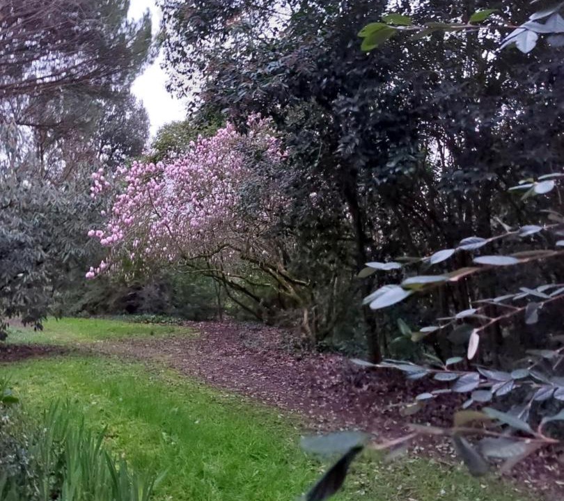 Photo of Others in Le Mazeau