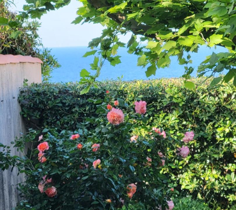 Photo of Others in Santa-Severa