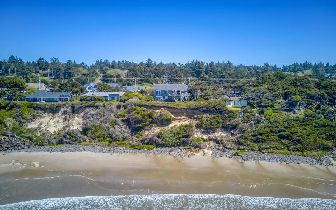 Photo of Others in Seal Rock