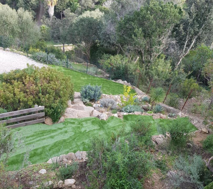 Photo of Others in Belvedere-Campomoro