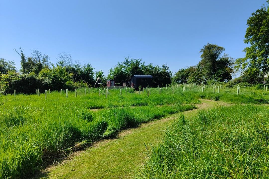 Photo of Others in Woodbridge