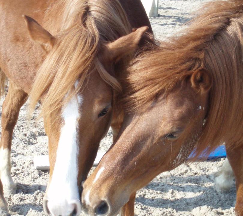 Photo of Others in Croissy-Beaubourg