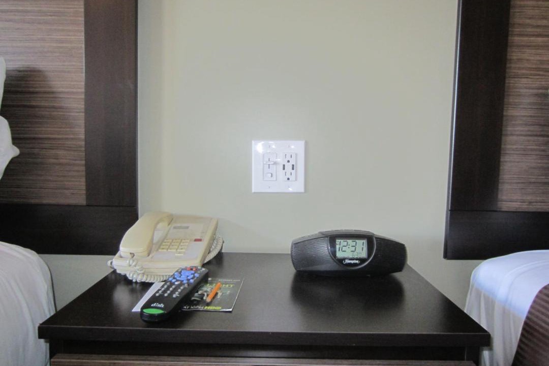 Photo of Others in Snail