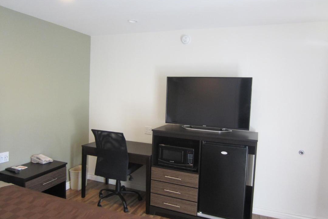 Photo of Others in Snail