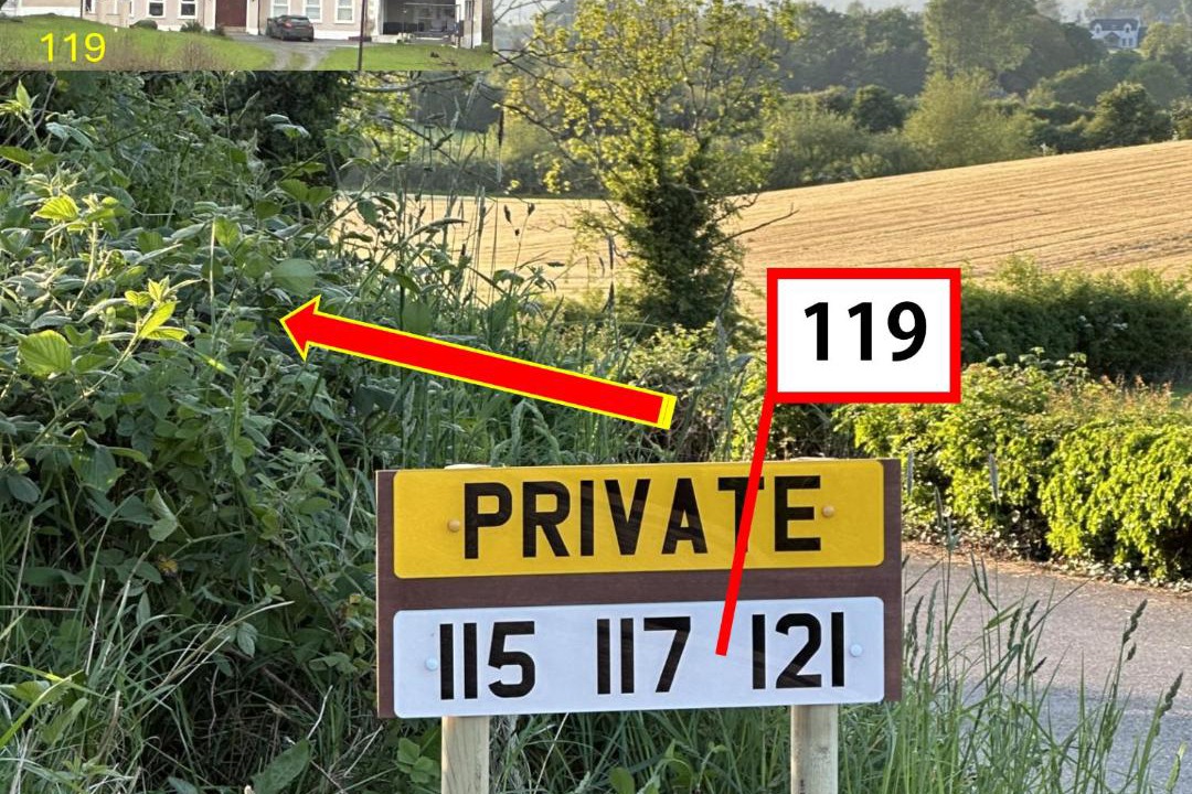 Photo of Others in Hillsborough