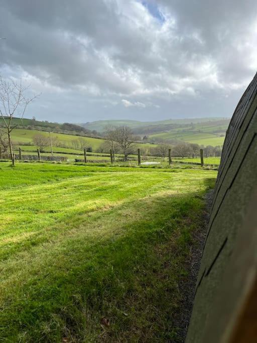 Photo of Others in Newcastle-on-Clun