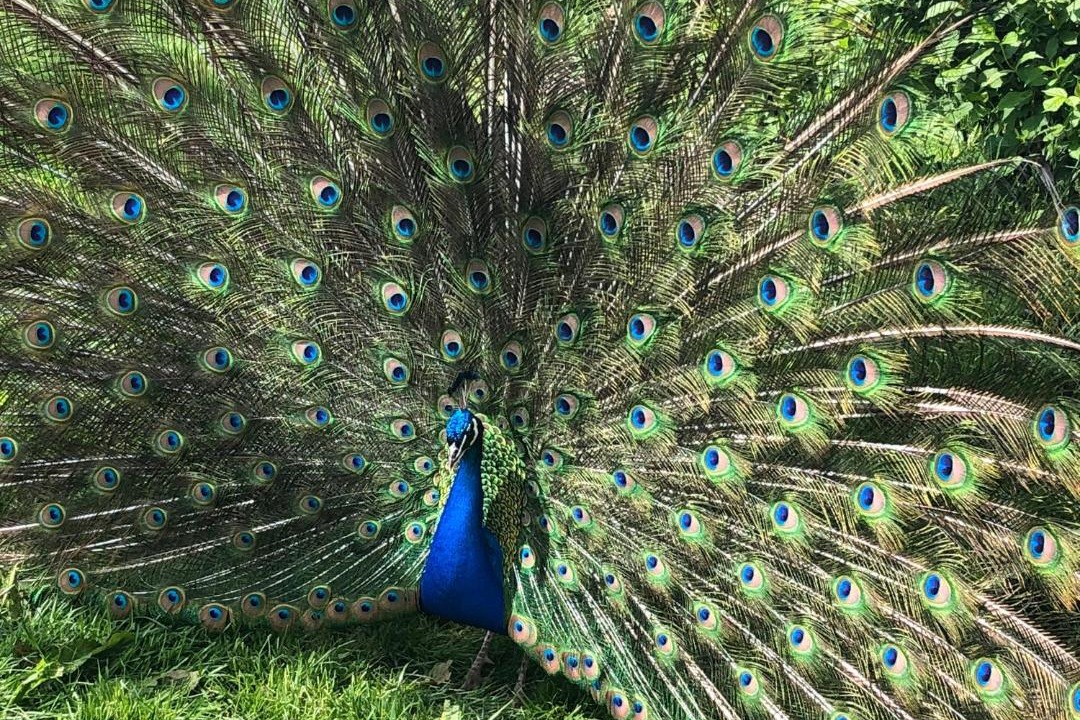 Photo of Others in Hautot-Saint-Sulpice