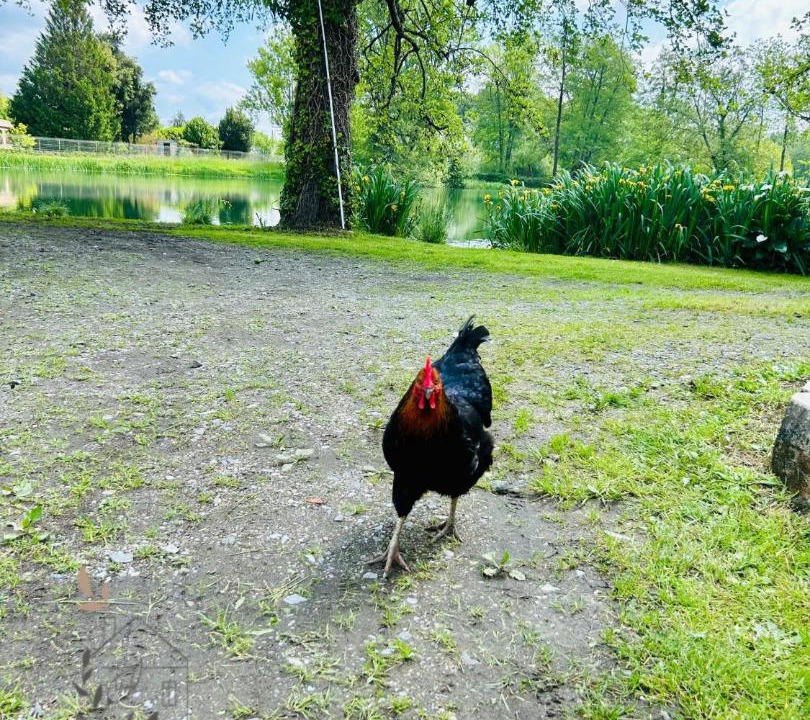 Photo of Others in Izon