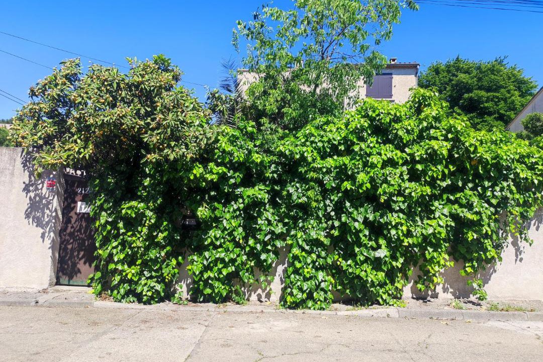 Photo of Others in Caremeau