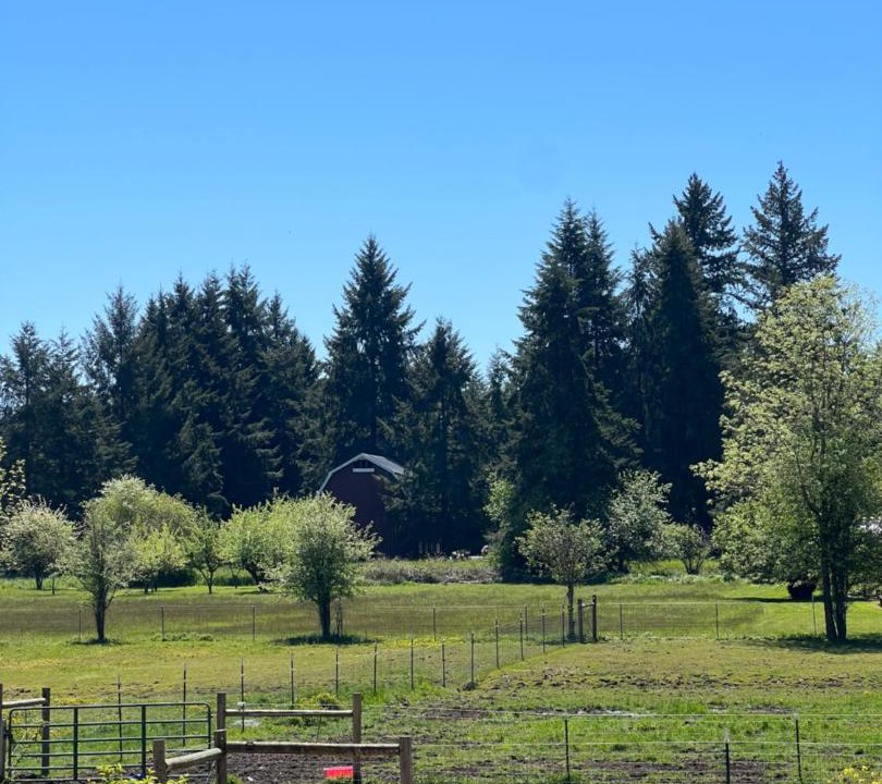 Photo of Others in Toledo