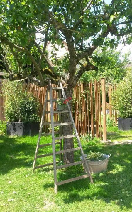 Photo of Outdoor in Vigny