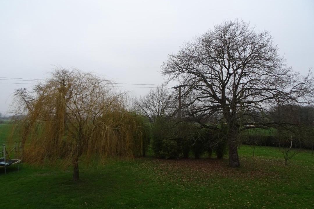 Photo of Others in Guipry-Messac